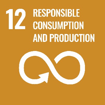 SDG Logo